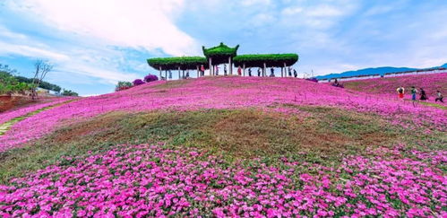 攀枝花入選2019年中國康養產業可持續發展能力20強地級市