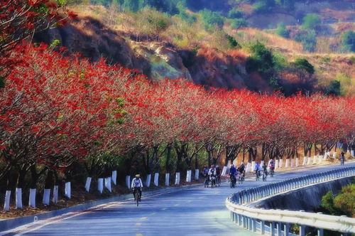 攀枝花大黑山的傳說(shuō)與美食