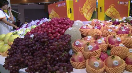 8個(gè)項(xiàng)目集中簽約!借農(nóng)博會(huì)東風(fēng),攀枝花攬金6.23億元!