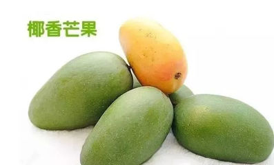 攀枝花芒果網(wǎng):攀枝花本地芒果品種介紹