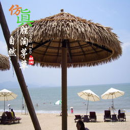 攀枝花仿真茅草與塑料茅草瓦廠家價格及型號規(guī)格詳解