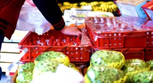 攀枝花水果 春節(jié)送禮新風尚，外地市場受熱捧