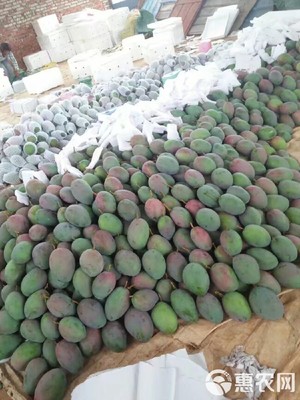 預售實惠 攀枝花凱特芒10斤裝僅35元，7月12日發(fā)貨